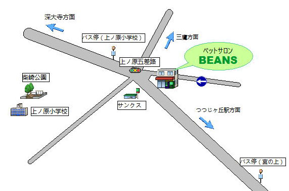 周辺地図